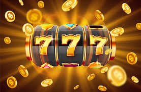 shel77